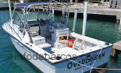 Tiara 27 Open ficha técnica y opiniones
